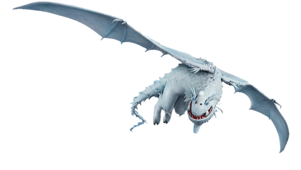 Rage des Neiges